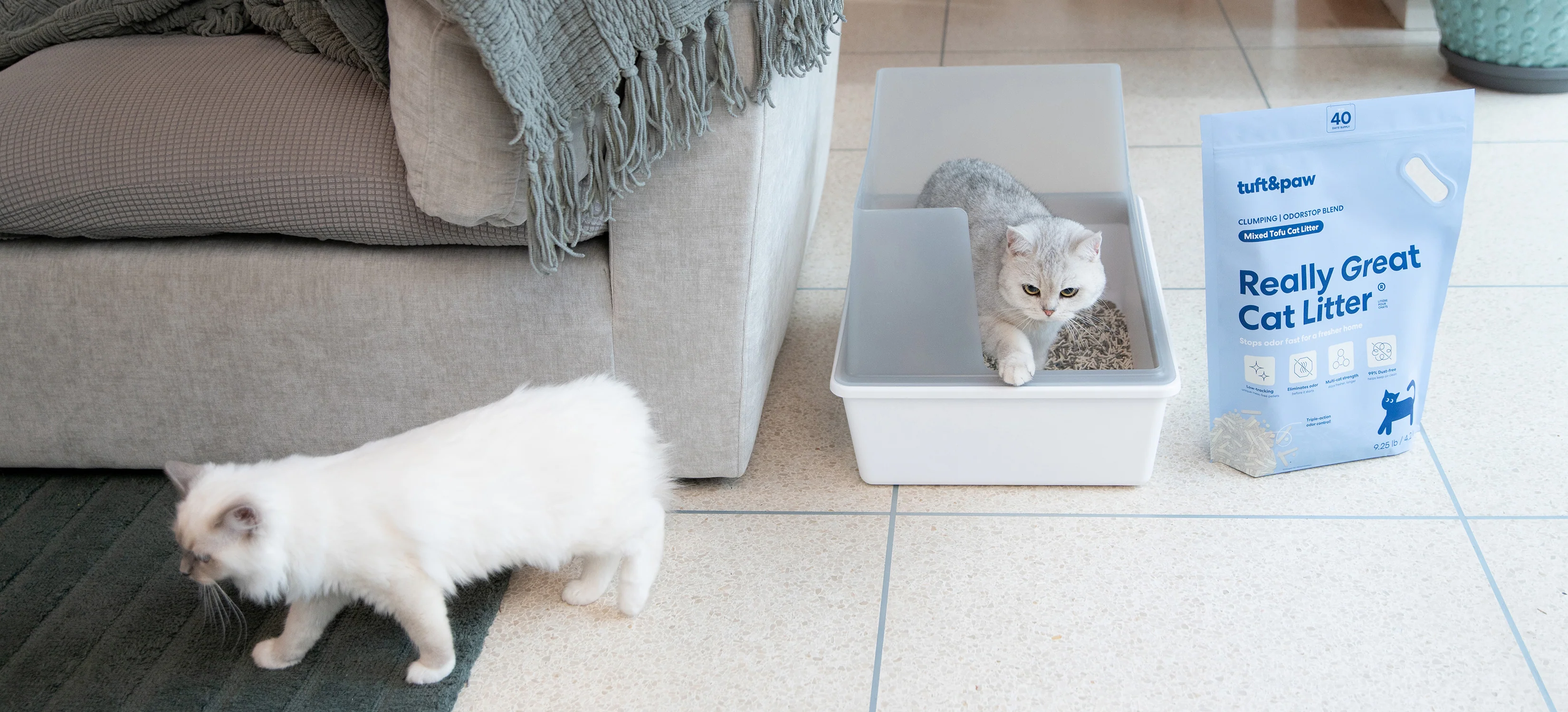 Modern Design for Feline Mischief